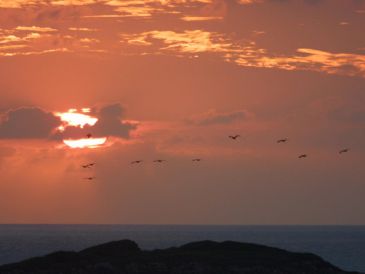 Según la OMM,  aunque "La Niña" tiene un efecto de enfriamiento, "se espera que muchas regiones sigan registrando temperaturas superiores a lo normal". EL INFORMADOR / ARCHIVO