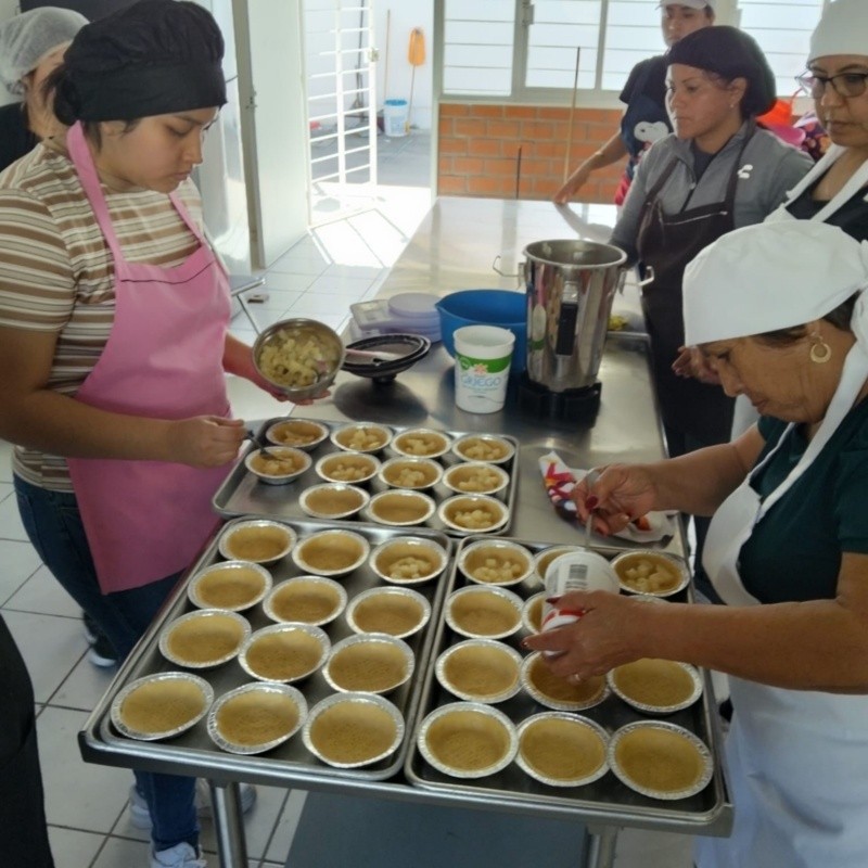El instituto busca activamente fomentar el autoempleo, la mejora significativa de los ingresos familiares y el fortalecimiento de la autonomía económica de las mujeres. IDEF&nbsp;