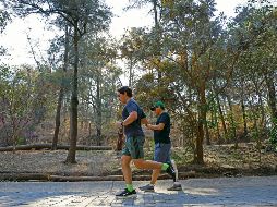 Se espera gran afluencia a los bosques urbanos y parques de la ciudad. EL INFORMADOR/Archivo