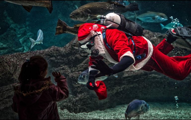 Las plataformas de Inteligencia Artificial se han convertido en una opción atractiva para quienes buscan innovar en sus publicaciones navideñas. CANVA