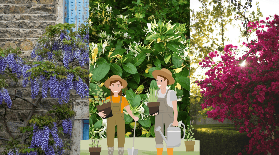 Qué mejor que iniciar la renovación de tu jardín en estos días para darle la mejor de las bienvenidas al 2026. UNSPLASH / M. Le Breton / S. Wander / J. Keeley