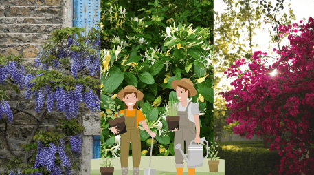 Qué mejor que iniciar la renovación de tu jardín en estos días para darle la mejor de las bienvenidas al 2026. UNSPLASH / M. Le Breton / S. Wander / J. Keeley