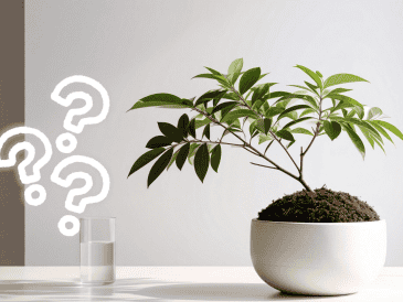 Por su tamaño, resistencia y capacidad de producir frutos sin grandes exigencias, el granado se ha convertido en uno de los árboles más recomendados para jardines pequeños y proyectos de jardinería sostenible. CANVA