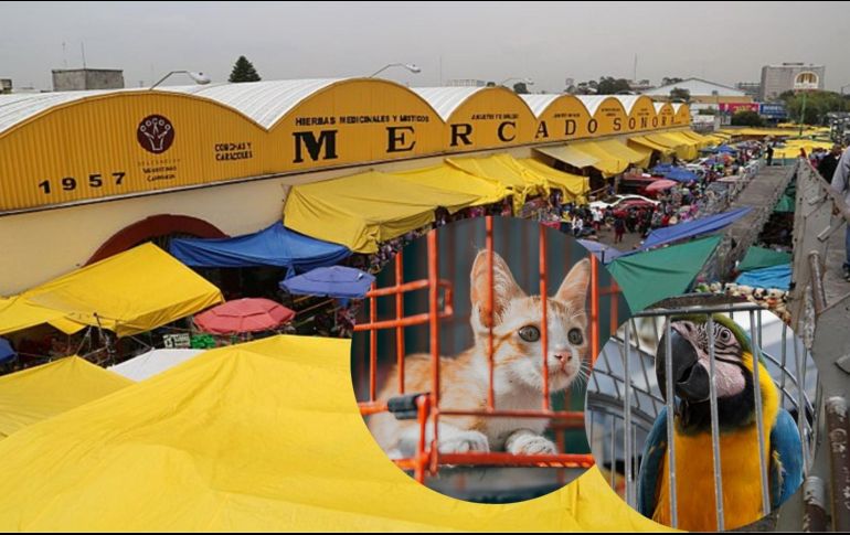 La disposición representa un cambio histórico en uno de los mercados más emblemáticos de la capital. ESPECIAL