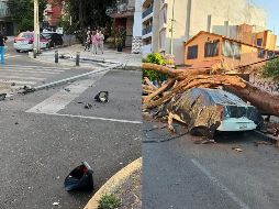 Estas son las afectaciones que se han presentado hasta el momento en la Ciudad de México tras el sismo de Guerrero. ESPECIAL / FACEBOOK Clara Brugada