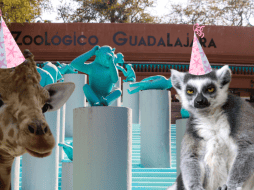 Si planeas aprovechar esta increíble promoción, te recordamos que el Zoológico Guadalajara se encuentra muy cerca de la Barranca de Huentitán. ESPECIAL/ EL INFORMADOR/ ARCHIVO/ Unsplash