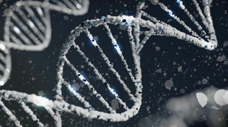 Descubre una de las enfermedades genéticas más graves que existen. UNSPLASH / S. LOHAKARE