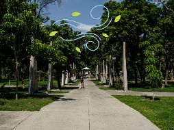 Índice de la calidad por zonas del AMG. EL INFORMADOR / ARCHIVO