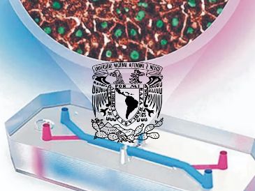 A través de un comunicado, la UNAM informó que tiene que haber un diseño previo, una simulación en computadora para después crear el molde con el que se hacen los dispositivos. ESPECIAL / UNAM