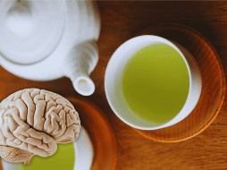 Para confirmar los beneficios del té verde sobre la salud cerebral en distintas poblaciones, será necesario profundizar con grupos más diversos. ESPECIAL / CANVA