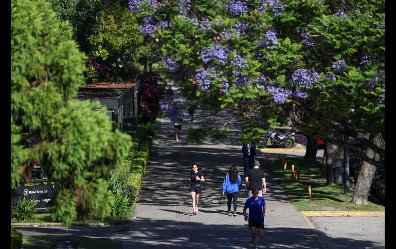La inactividad física está asociada con 1 de cada 6 muertes en el Reino Unido. EFE/ J. RONCORONI
