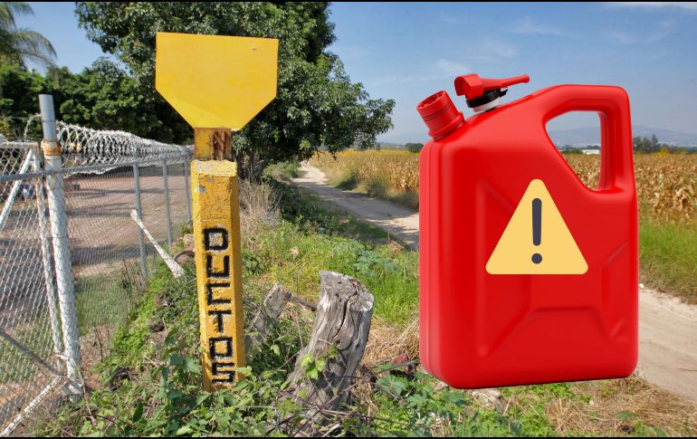 En ninguno de los tres casos hubo personas detenidas y lo asegurado fue puesto a disposición del Ministerio público federal. EL INFORMADOR / ARCHIVO