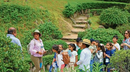 A lo largo de 2025, 6.8 millones de personas acudieron a los bosques urbanos de la ZMG. ESPECIAL