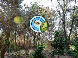 Índice de la calidad por zonas del AMG. EL INFORMADOR / ARCHIVO