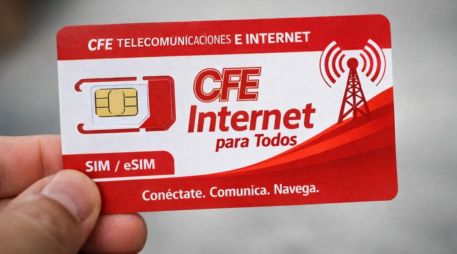 El trámite es personal y presencial, ya que se realiza una validación de datos antes de la entrega del chip. ESPECIAL