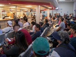 La aplicación del descuento de 70% durante 2026 permitirá a las y los contribuyentes mantener actualizado el registro de los vehículos en su poder. ESPECIAL/Gobierno de Jalisco