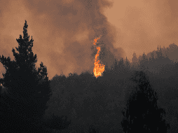 Los megaincendios originados el sábado pasado han destruido más de 30 mil hectáreas al sur de Santiago, en Chile. EFE/ Adriana Thomasa