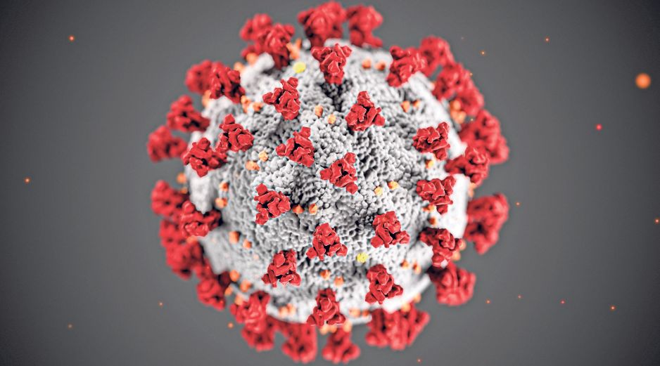 Hasta el 14 de enero de 2026 se habían registrado en México seis mil 819 casos confirmados de sarampión. EFE / ARCHIVO