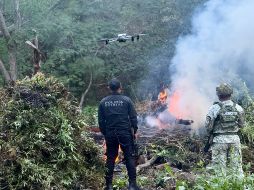 En diciembre pasado, autoridades localizaron cerca de 80 kilos de marihuana sobre la carretera Guadalajara - Tepic, en el municipio de Hostotipaquillo. ESPECIAL/Policía del Estado