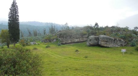 Los resultados del análisis sugieren que T.pallidum es anterior al auge de la agricultura en América. EFE / Fotografía facilitada por Angélica Triana