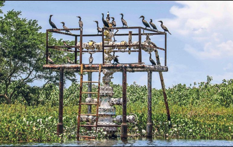 Los autores del estudio auguran una caída de GNL del 1% en Sudamérica y en Centroamérica. SUN/ARCHIVO