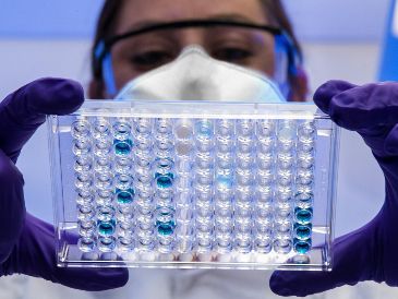 El primer brote en Malasia provocó la muerte de 100 personas y obligó al sacrificio de un millón de cerdos para frenar la propagación. UNSPLASH