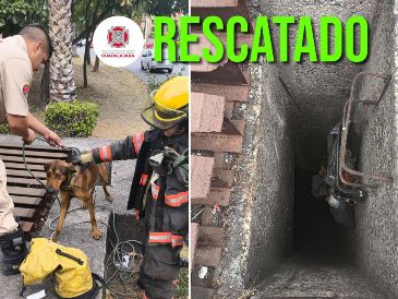 Protección Civil y Bomberos de Guadalajara reafirmó su compromiso de mantener la seguridad de todos los seres vivos en el municipio. ESPECIAL / FACEBOOK Protección Civil y Bomberos Guadalajara