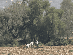 Las autoridades informaron que no existe riesgo para la población; sin embargo, exhortaron a la ciudadanía a permitir el libre tránsito del personal de emergencia. CORTESÍA/ Secretaría de Seguridad Pública de Hidalgo