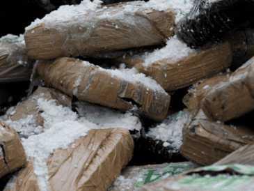 En total se incautaron algo más de 105 toneladas que posteriormente fueron destruidas de sustancias como acetato de plomo, cloruro de mercurio, entre otras. EFE/ARCHIVO