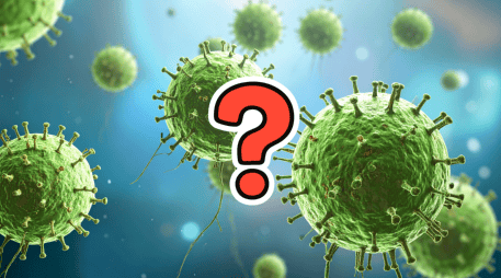 La alerta se originó cuando, el 12 de enero de 2026, fuentes oficiales notificaron dos casos sospechosos de infección por Nipah, de acuerdo con el boletín epidemiológico más reciente de la oficina regional de la Organización Mundial de la Salud (OMS) para el Sudeste Asiático. CANVA