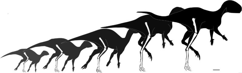 EFE/ Museo de Dinosaurios de Salas de los Infantes