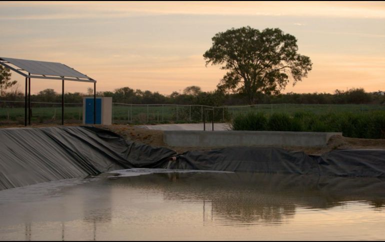 Ayer, lunes 2 de febrero, se celebró el Día Mundial de los Humedales. ESPECIAL