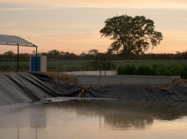 Este lunes 2 de febrero se celebró el Día Mundial de los Humedales. ESPECIAL