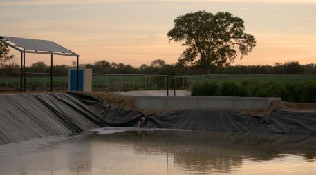 Ayer, lunes 2 de febrero, se celebró el Día Mundial de los Humedales. ESPECIAL