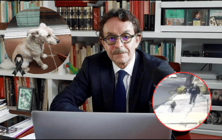 Difunden nuevas imágenes del ataque al perro de Quadri. ESPECIAL / X / @g_quadri