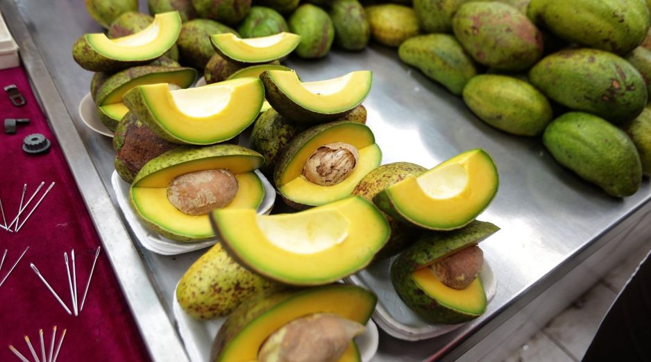 El aguacate se ha ganado un lugar privilegiado en la alimentación cotidiana de millones de personas, no solo por su sabor, sino por la percepción de que es un alimento “bueno para la salud”. NTX / ARCHIVO