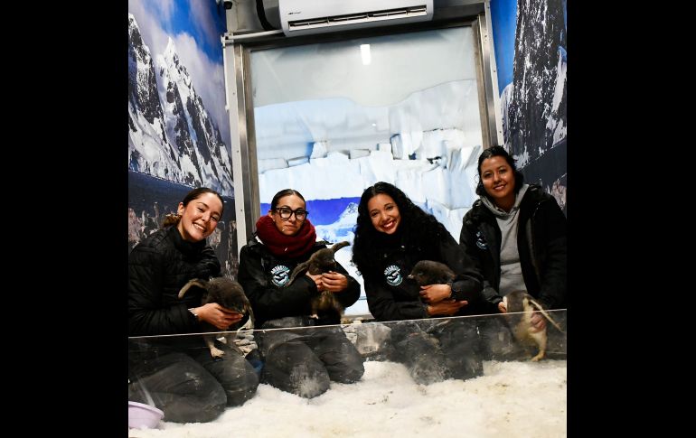 Te recordamos que el Zoológico Guadalajara se encuentra muy cerca de la Barranca de Huentitán. ESPECIAL/ Zoológico Guadalajara