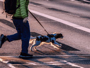 Salir con un perro a la calle sin correa puede provocar incidentes con otras mascotas, niños e incluso con personas de la tercera edad. CANVA