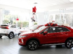 La comercialización superó estimaciones previas y evidenció un dinamismo inusual en el arranque anual del sector. EL INFORMADOR/Archivo