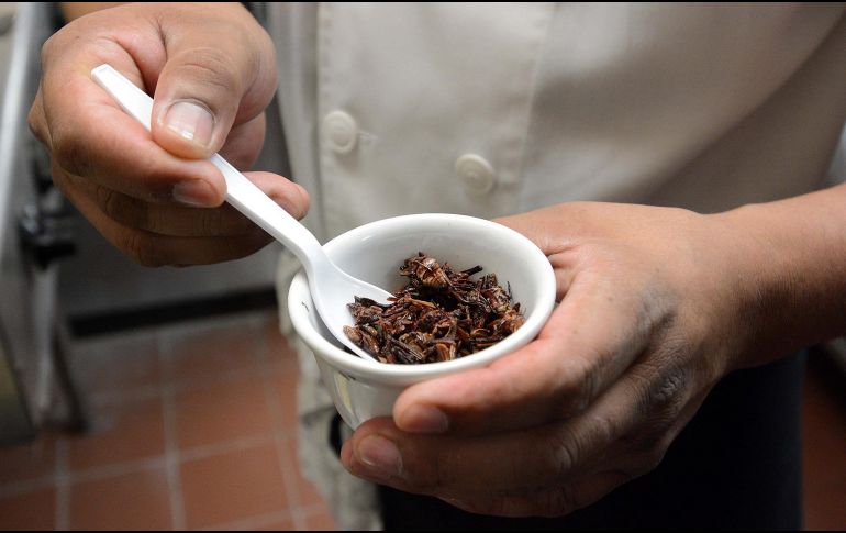Esto es lo que pasa si se comen chapulines a menudo. NTX / ARCHIVO