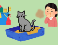 Los gatos deben bañarse al rededor de 3 veces al año, cada 3 o 4 meses, en especial si suelen salir de casa. CANVA