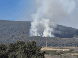 El presidente municipal afirmó que las autoridades estarán al pendiente y alertas, pues se estima que el 98% de los incendios son provocados. EL INFORMADOR/J. Velazco