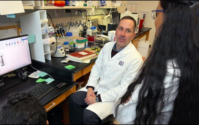 Este análisis respalda el efecto positivo del levetiracetam para frenar la progresión de la patología de Alzhéimer. EFE/Universidad Northwestern