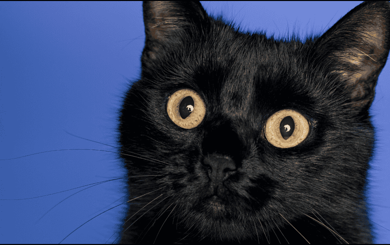 Viernes 13: Cuáles son las supersticiones más comunes y cuál es su historia