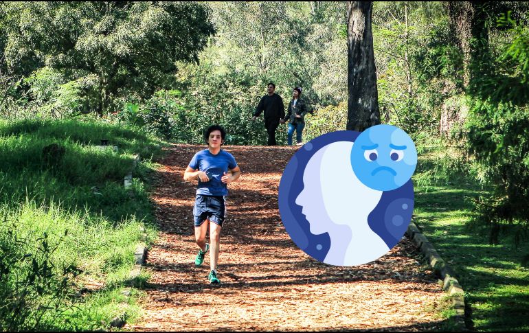 Esto revela un estudio respecto a la utilidad del ejercicio para aliviar síntomas de ansiedad y depresión. EL INFORMADOR / ARCHIVO