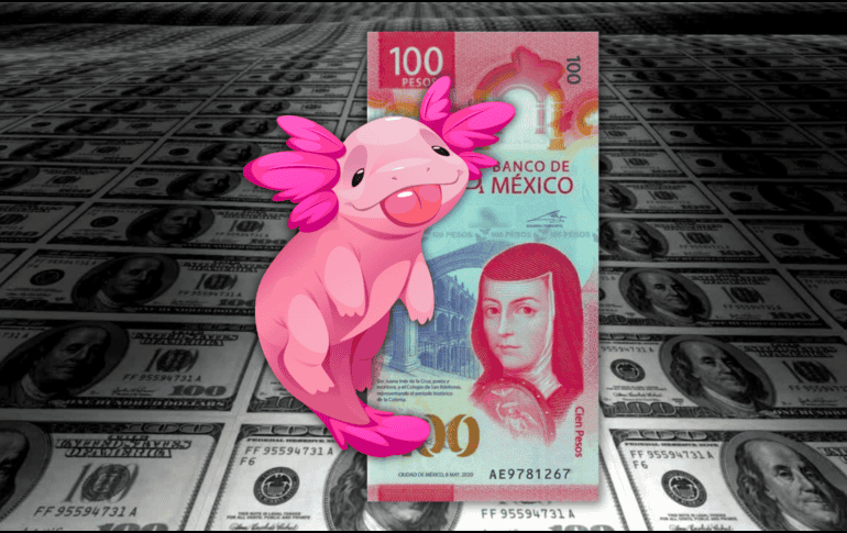 Hoy, la mejor opción en la compra del dólar —en este momento de la mañana, a las 07:30 horas— es en Banamex; y la venta, en BBVA Bancomer. ESPECIAL / CANVA