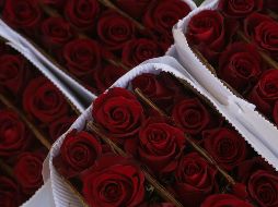 El 14 de febrero representa la segunda fecha más importante para el sector ornamental. CORTESÍA