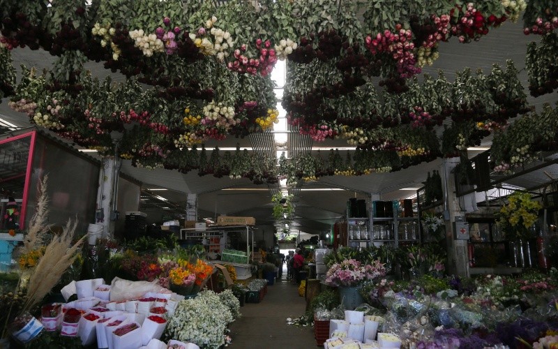 La temporada de San Valentín no solo impulsa el romanticismo, sino también la economía de cientos de familias productoras en Jalisco. CORTESÍA&nbsp;