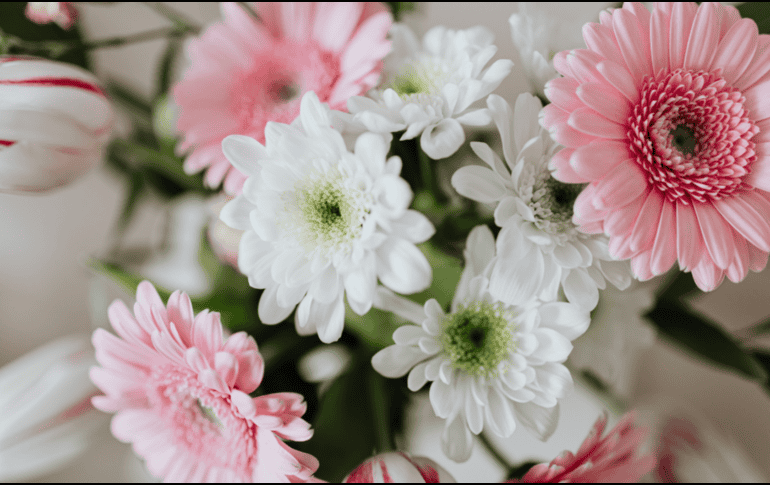 Este 14 de febrero regala flores dependiendo del mensaje y sentimiento que quieras transmitirle a la otra persona. CANVA