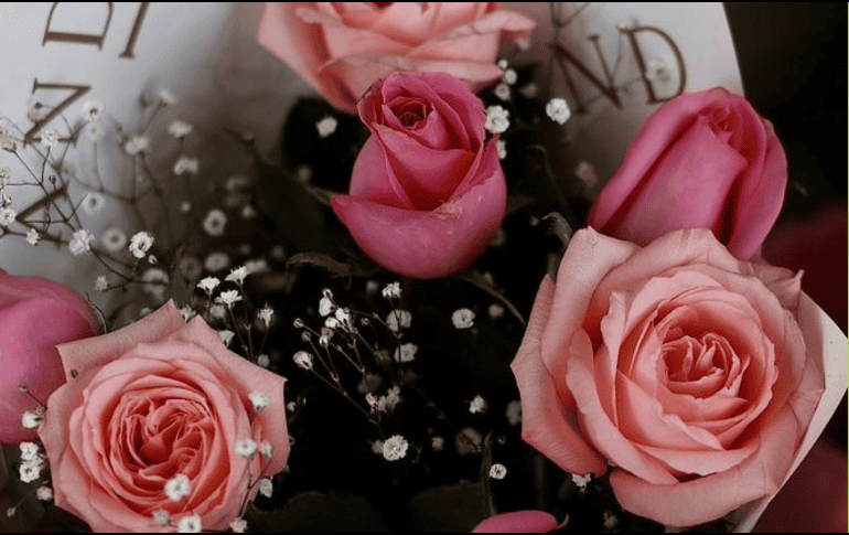 Regalar rosas el 14 de febrero es una tradición que simboliza amor, belleza y respeto. ESPECIAL/Gobierno de Jalisco